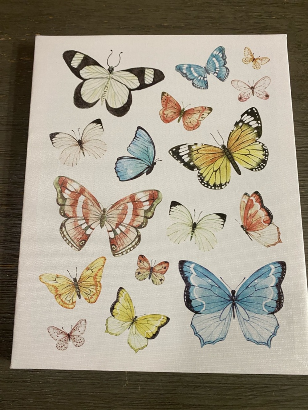 Butterfly Wall Art
